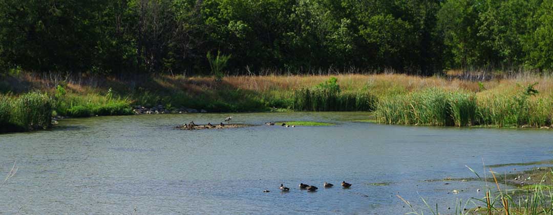 Furneaux Creek and Tributary Stream Restoration  Carrollton, Texas